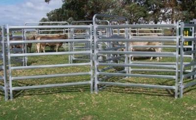 China Round Rails Livestock 1.8m Steel Cattle Yard Panels Hot Dipped Galvanized for sale