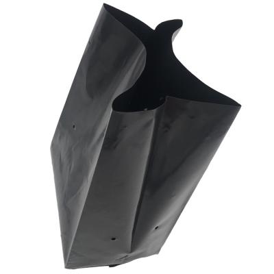 China White Black Plastic Grow Bag Nursery Bags With Holes for sale