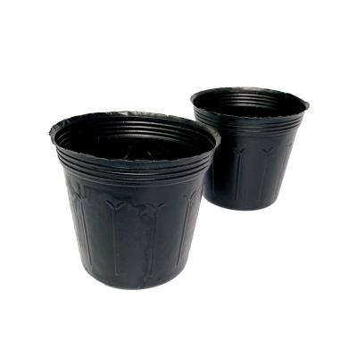 China Black Plastic Soft Flower Nursery Pots UV Treatment for sale