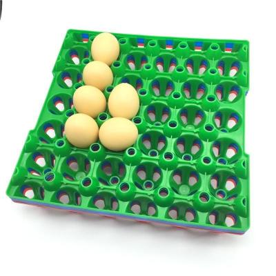 China 9pcs Stackable Plastic Egg Holder 152mm Square Incubator Egg Setting Tray for sale