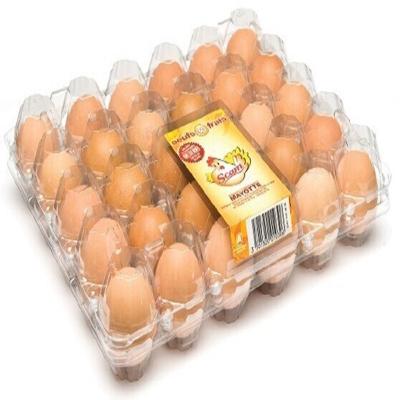 China Bandeja plástica conveniente de la incubadora del huevo del transporte del cartón del huevo del PVC de 8pcs 0.7m m en venta