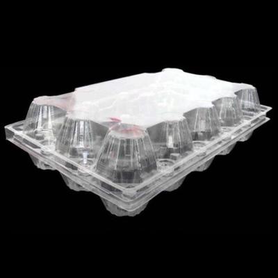 China 15packs Disposable PET Clear Plastic Egg Tray 71mm Square Egg Tray Holder for sale