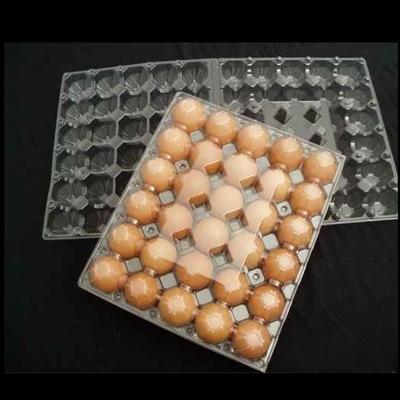 China Folding 0.4mm 30 Cells Plastic Blister Packaging Non Toxic Polymer Egg Holder Tray for sale