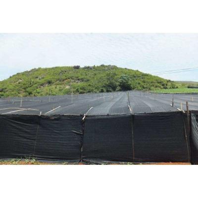 Chine maille recyclable de fabrication de jardin de Sunblock de filet d'ombre de pépinière de 300gsm 98% à vendre
