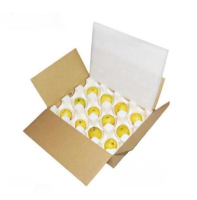 China Fabricantes de espuma de perfis EPS personalizados bandeja de frutas absorvente de choques caixa de espuma de frutas perfis frágil de proteção à venda