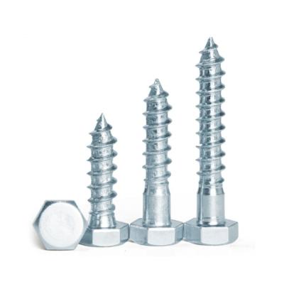 China Hex Head Wood Screw Din571 Lag Bolt Coach Screw for Steel/SUS304 within Fasteners for sale