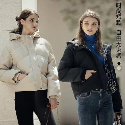 Chine Diagonal Pocket Hood Sustainable Padded Down Jacket Digital Print à vendre