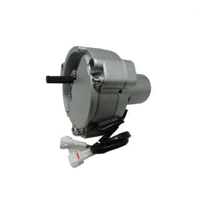 China YN2406U197F4 Excavator Throttle Motor 24V Electric Drive Constant Speed for sale