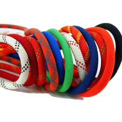 China 550 cordones cuerda de nylon de 100 pies en venta