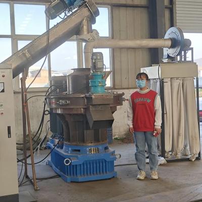 China Biomass wood chips Eucalyptus pine ring die pellet mill en venta