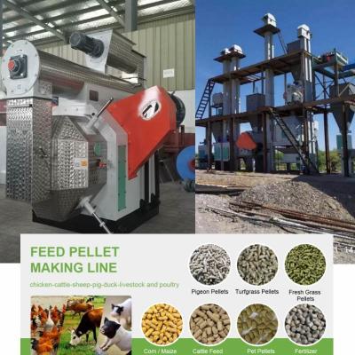 China 100kg To 10 Ton Pellet Mill Machine Animal Feed Pellet Production Line Biomass Fuel for sale