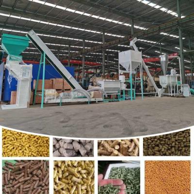 China 1-2T/H Feed Pellet Production Line For Chicken Cattle Rabbit Poultry Feed en venta