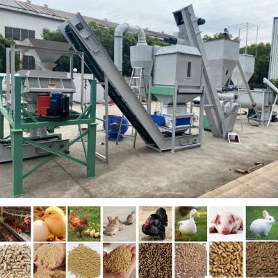 China 2TPH Animal Feed Pellet Production Line Cattle Chicken Feed Cow Pellet Machine for sale