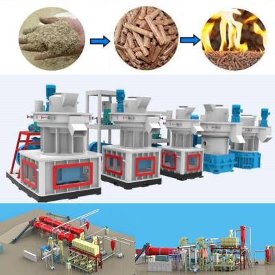 China 1-5 Ton Per Hour Rice Husk Pellet Plant Biomass Pellet Manufacturing Plant for sale