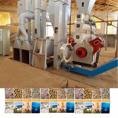 China Animal Poultry Chicken Cattle Feed Pellet Processing Line For Commercial for sale