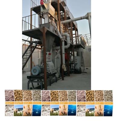China 1-12mm Feed Pellet Size Animal Feed Pellet Production Line for sale