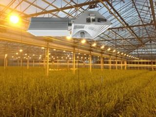 China 155lm/w 160000lm Indoor Grow Lights , 1000W HPS Grow Lights for sale