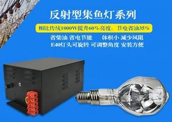 China 700W Self Reflective Metal Halide Fishing Lamp , 3900K Metal Halide Grow Light Bulbs for sale