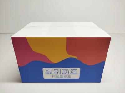China 15 Times Reusable Corrugated Plastic Boxes OEM Printed Corrugated Box for sale