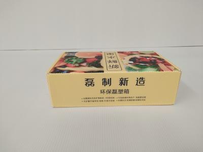 China Supermarket Plastic Corrugated Foldable Boxes Offset Printing Fruit Subscription for sale