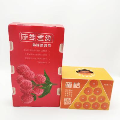 China Cajas acanaladas del envase de plástico de la fruta con las manijas antiestáticas en venta