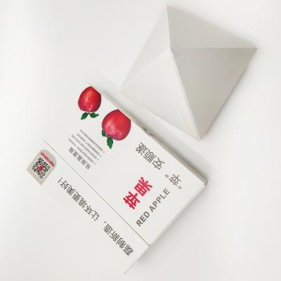 China OEM Custom Corrugated Carton Frozen Adapt Apple Subscription Box for sale