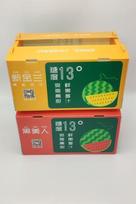 China A promoção empilhável dos produtos agrícolas corrugou a caixa de armazenamento tornada ôca da caixa para prateleiras à venda
