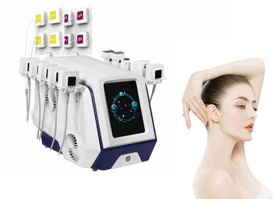 China 2 In 1 EMS Body Slimming Machine RF Belly Fat Dissolving Machine 2MHz for sale