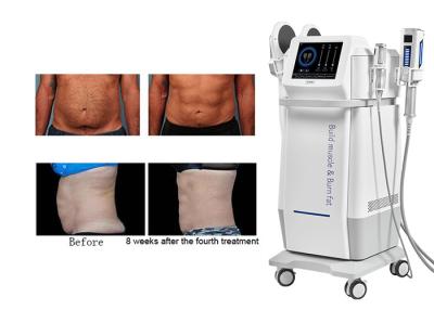 China OEM Electromagnetic Muscle Building Machine Professional Fat Burning Machine for sale