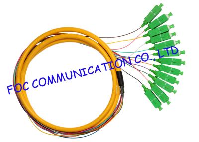 China A distribuição ventila para fora a trança de fibra ótica para FTTX, núcleos do único modo 12 da trança do sc do APC à venda