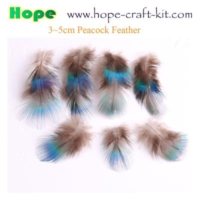China Peacock feathers, goose feathers, turkey chicken feathers for hobbies and children kids STEM hand-crafted DIY material à venda
