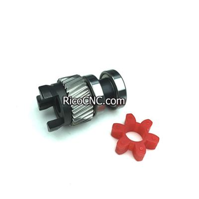 China 2-031-95-4470 Gear with Coupling for HOMAG 2031954470 for sale