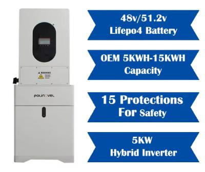 China Lifepo4 48V 300Ah Lifepo4 48v 51.2v 100ah 200 Ah 100Amp Lifepo4 Battery for sale