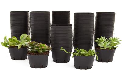 China Small Drain Holes Horticultural Plant Pots Modern Bonsai Plastic Dumpy Plants for sale