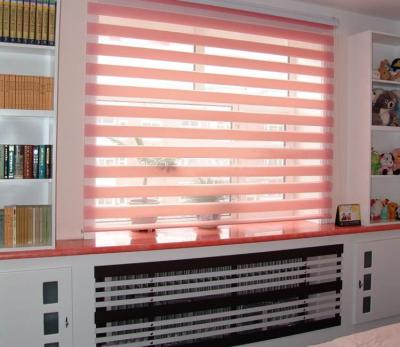 China Venetian Zebra Blinds Fabric , Privacy Protection Bunnings Indoor Roller Blinds for sale