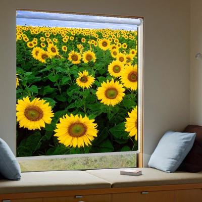 China 38MM machanism 3D Printed Roller Blinds Custom Multi-colored printing Blinds for sale