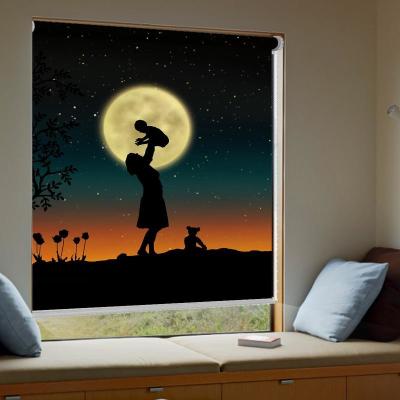 China Basic 3D Shapes Digitally Printed Photo Roller Blind water proof Roller Blinds for sale