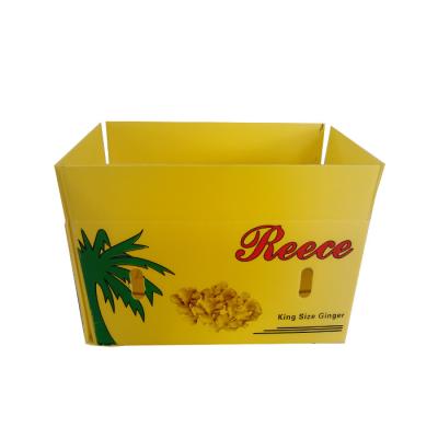 China Caixa de embalagem de frutas de plástico corrugado de PP Coroplast Caixa de embalagem de frutas personalizada Reciclável dobrável à venda
