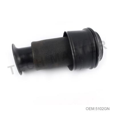 China Rear Air Suspension Springs for Citroen C4 Picasso Rear 5102GN 5102R8 / Air Bag Suspension Parts for sale