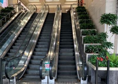 China OEM VF Drive Shopping Mall Escalator Stainless Steel Indoor Electric Escalator for sale