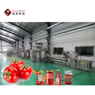 China Small Turykey Industrial Tomato Paste Processing Line Machine Tomato Ketchup Production Line for sale