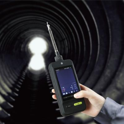 China Flashlight Function NH3 Single Gas Detector Ammonia Gas Detector With CITY Sensor for sale