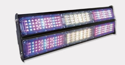 China LED Grow Lights Horticulture LED Lights for plant growing LED Let it Grow for sale