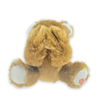 Chine Jetez un coup d'oeil un animal de Boo Educational Plush Toys Stuffed avec l'enregistrement 20cm de voix 7.87in à vendre