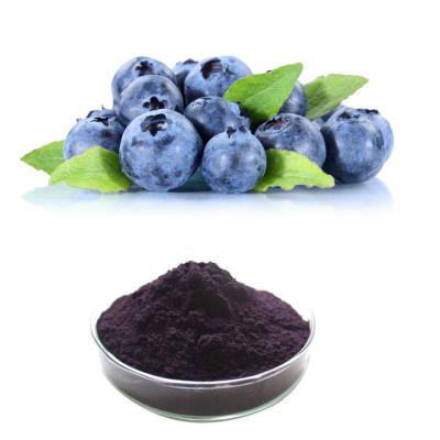China Blueberry Fruit Extract Powder With 25% Anthocyanins To Improve Eye Health for sale