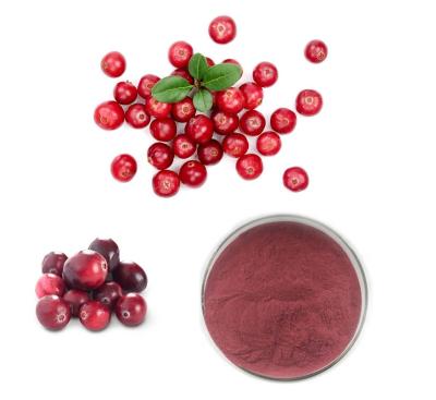 China Cranberry Extract Proanthocyanidins for sale