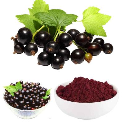 China Black Currant Anthocyanidins for sale