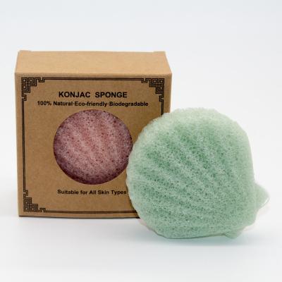 China Shell Shaped Deep Cleansing Konjac Exfoliating Sponge For Acne for sale