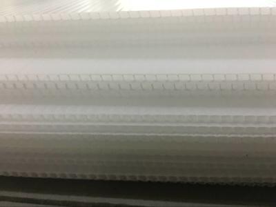 China Flame Resistant PP Hollow Sheet Extrusion Line Anti Aging 2-10mm Thickness for sale