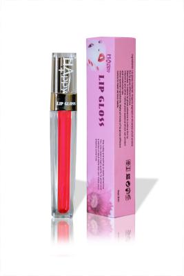 China ODM OEM Long Lasting Waterproof Lip Gloss Lip Treatment Gloss for sale
